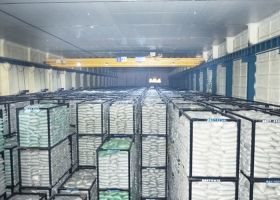 “蒜通天下”无人化冷库仓储项目